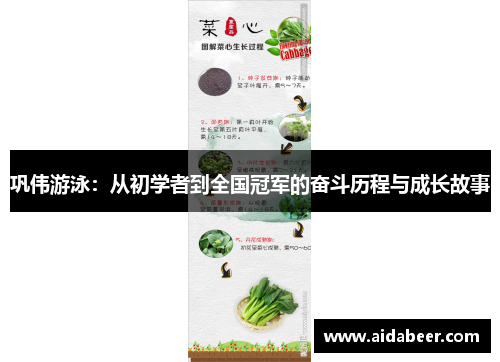 巩伟游泳:从初学者到全国冠军的奋斗历程与成长故事