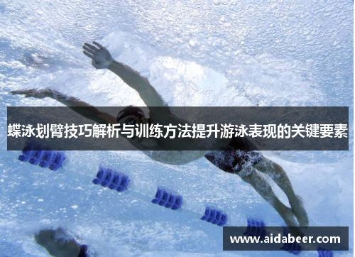 蝶泳划臂技巧解析与训练方法提升游泳表现的关键要素